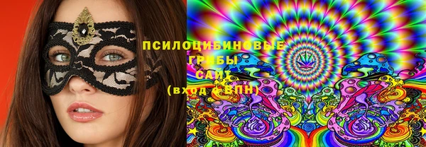 крисы Абаза
