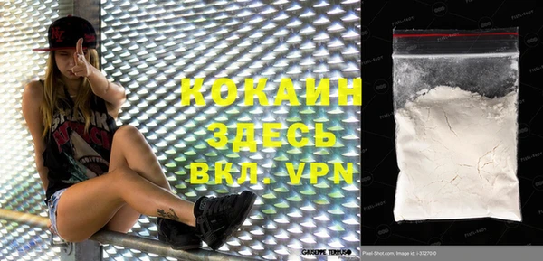 крисы Абаза