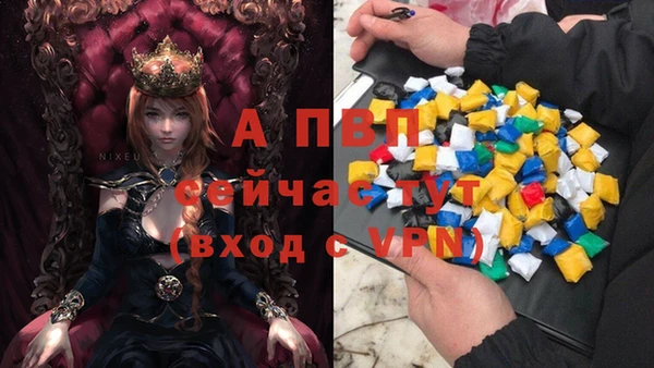 крисы Абаза