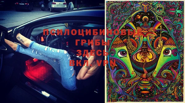 ECSTASY Абинск