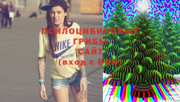 крисы Абаза
