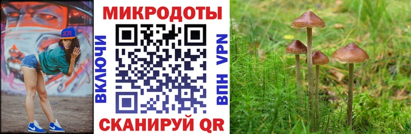 Псилоцибиновые грибы MAGIC MUSHROOMS  Чухлома 